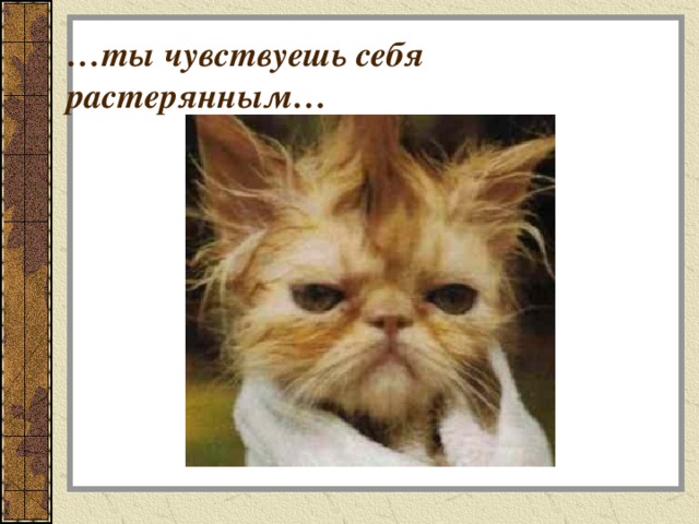 … ты чувствуешь себя растерянным… 