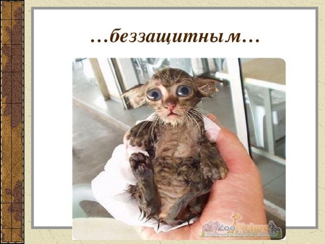 … беззащитным… 