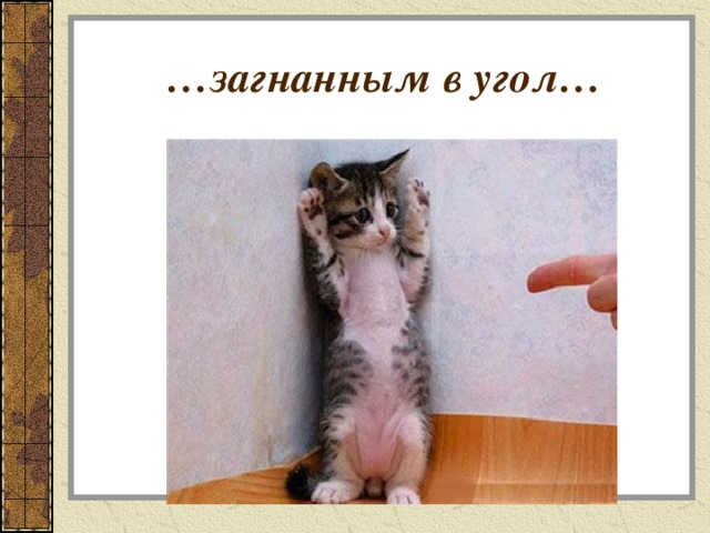 … загнанным в угол… 