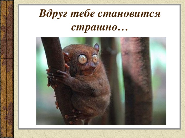 Вдруг тебе становится страшно… 
