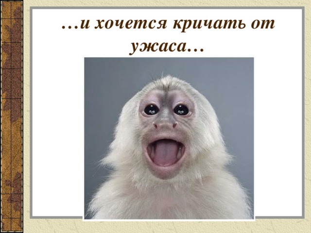 … и хочется кричать от ужаса… 
