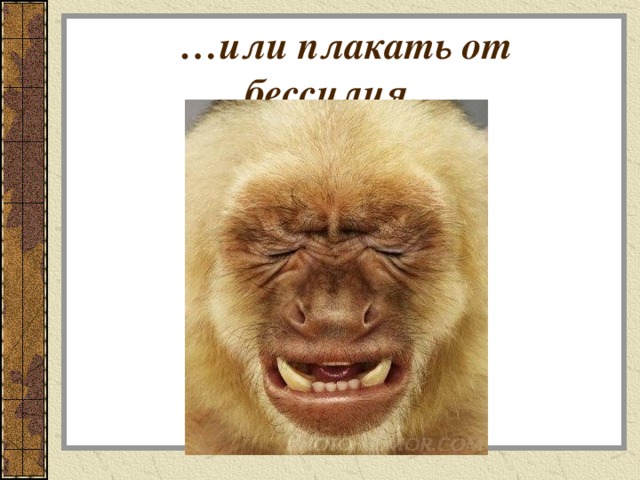 … или плакать от бессилия… 