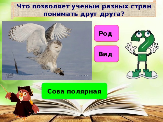 Что позволяет ученым разных стран понимать друг друга? Род Вид Сова полярная 