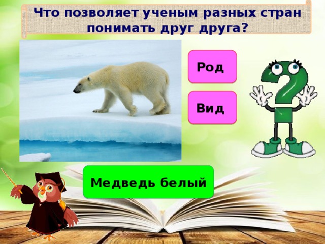 Что позволяет ученым разных стран понимать друг друга? Род Вид Медведь белый 