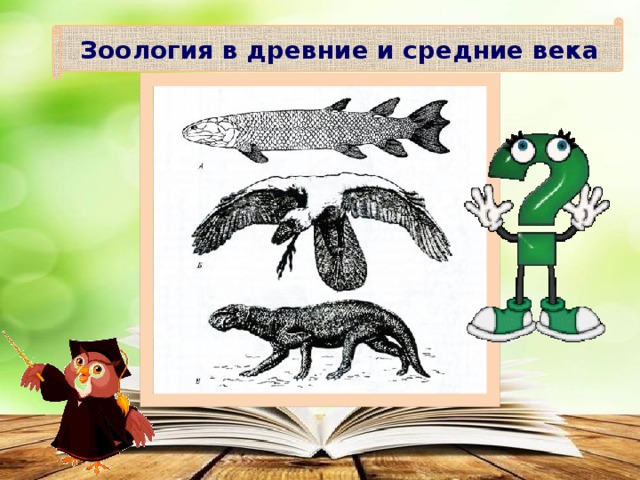 Презентация доказательства эволюции животных 7 класс латюшин