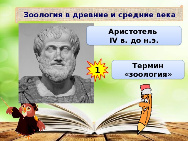 Зоология в древние и средние века Аристотель IV в. до н.э. 1 Термин «зоология» 