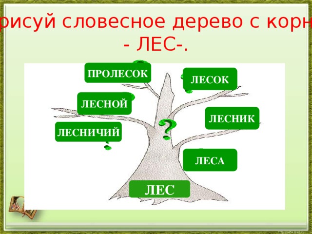 Корень дерева класс. Словесное дерево. Словесное дерево с корнем. Словестное дерево с корнем Лем. Словесное дерево с корнем лес.