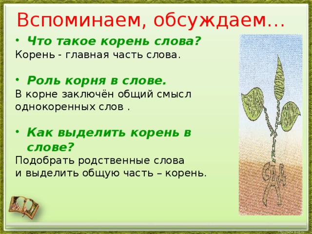 Что такое корень картинки