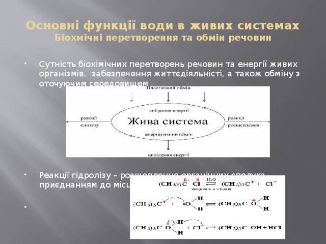 Основні функції води в живих системах  Біохмічні перетворення та обмін речовин Сутність біохімічних перетворень речовин та енергії живих організмів, забезпечення життєдіяльністі, а також обміну з оточуючим середовищем Реакції гідролізу – розщеплення органічних сполукз приєднанням до місць розривів іонів Н+ та ОН- 
