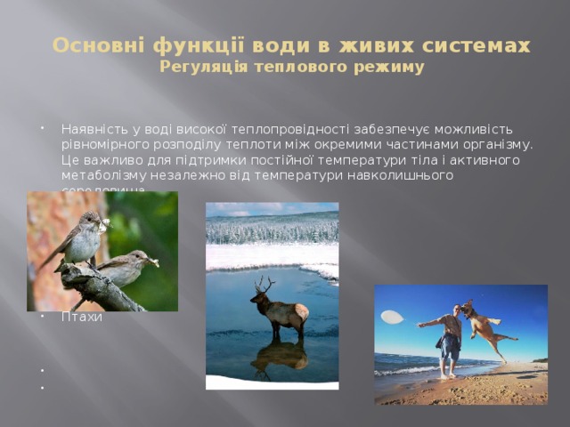 Основні функції води в живих системах  Регуляція теплового режиму Наявність у воді високої теплопровідності забезпечує можливість рівномірного розподілу теплоти між окремими частинами організму. Це важливо для підтримки постійної температури тіла і активного метаболізму незалежно від температури навколишнього середовища Птахи 