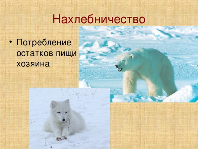 Нахлебничество