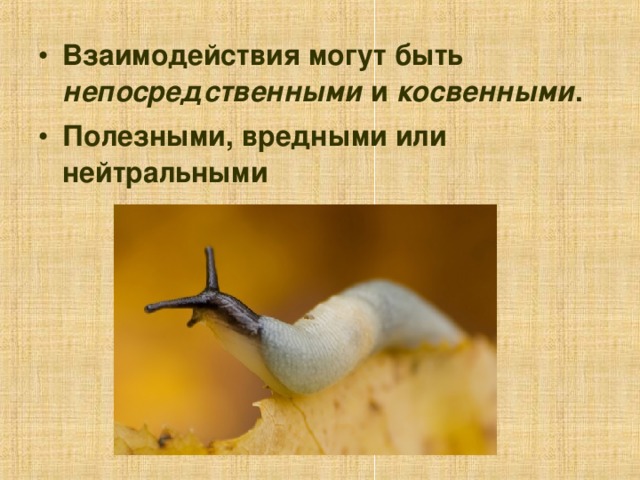 Взаимодействия могут быть непосредственными и косвенными . Полезными, вредными или нейтральными