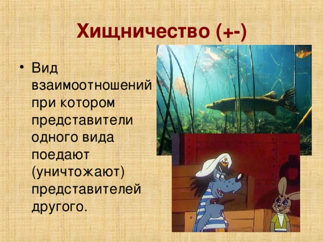 Хищничество (+-)