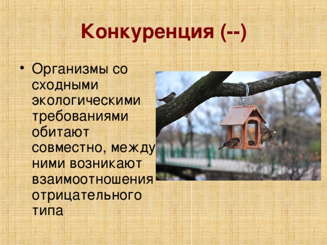 Конкуренция (--)
