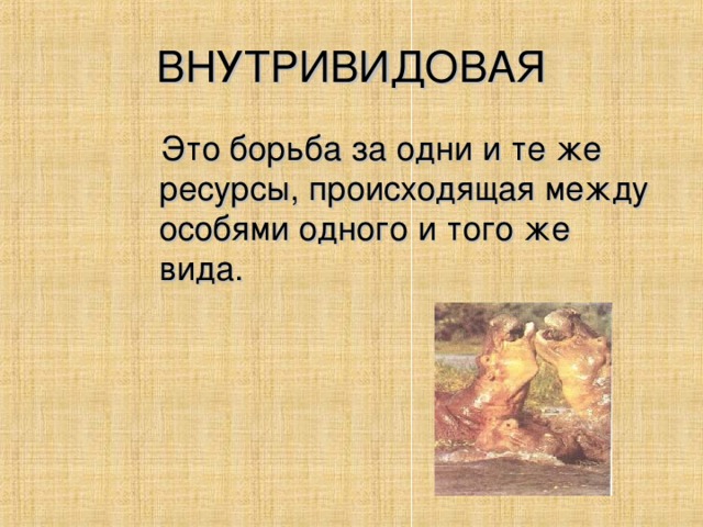 ВНУТРИВИДОВАЯ  Это борьба за одни и те же ресурсы, происходящая между особями одного и того же вида.
