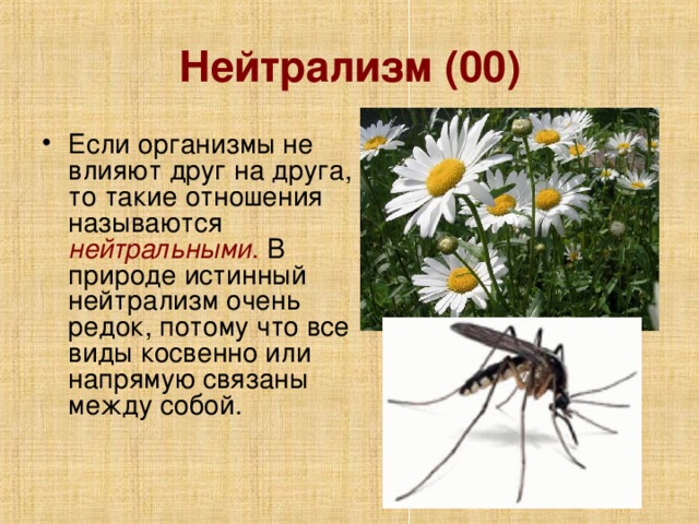 Нейтрализм (00)