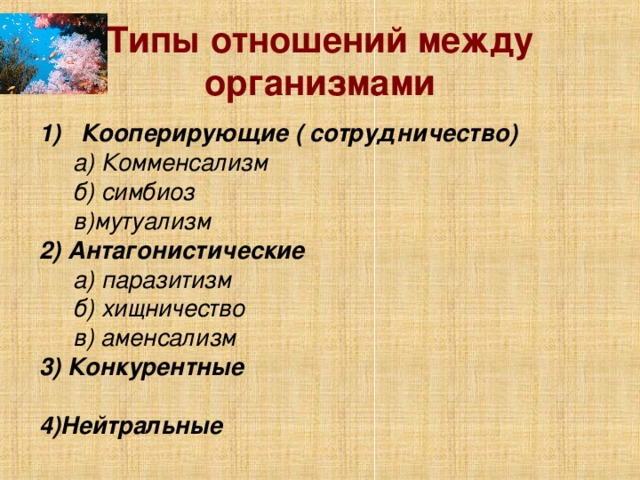 Типы отношений между организмами Кооперирующие ( сотрудничество)  а) Комменсализм  б) симбиоз  в)мутуализм 2) Антагонистические  а) паразитизм  б) хищничество  в) аменсализм 3) Конкурентные  4)Нейтральные