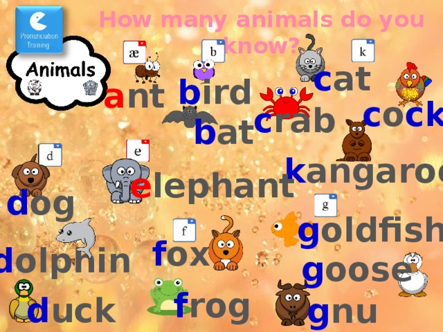 How many animals do you know? c at b ird a nt c o ck c rab b at k angaroo e lephant d og g oldfish f ox æ-æ ant! – звуки и слова в стиле рэп. d olphin g oose f rog d uck g nu  