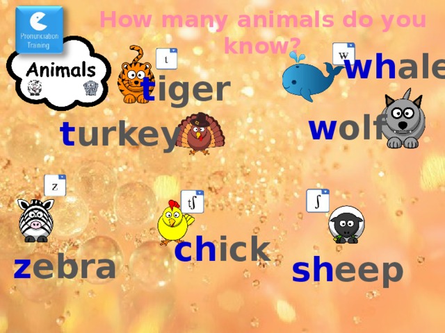 How many animals do you know? wh ale t iger w olf t urkey ch ick æ-æ ant! – звуки и слова в стиле рэп. z ebra sh eep  