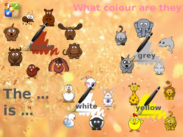 What colour are they? brown grey The … is … Повторение названий животных и цветов white yellow  
