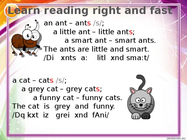 Learn reading right and fast an ant – ant s /s/ ;  a little ant – little ant s ;  a smart ant – smart ants. The ants are little and smart. / Di xnts a: litl xnd sma:t/ a cat – cat s /s/ ;  a grey cat – grey cat s ;  a funny cat – funny cats. The cat is grey and funny. / Dq kxt iz grei xnd fAni/ 