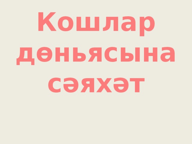 Кошлар дөньясына сәяхәт