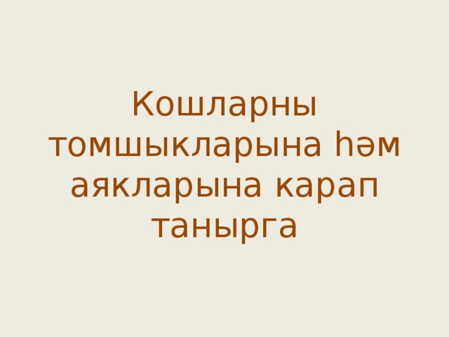 Кошларны томшыкларына һәм аякларына карап танырга