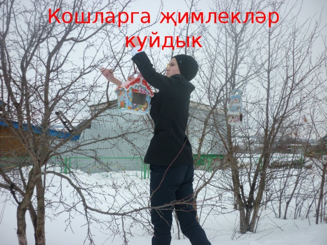 Кошларга  җимлекләр куйдык