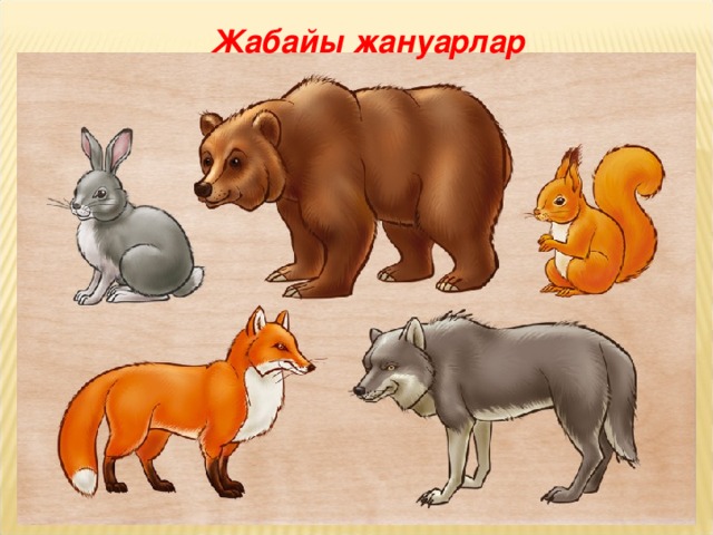 Жабайы жануарлар 