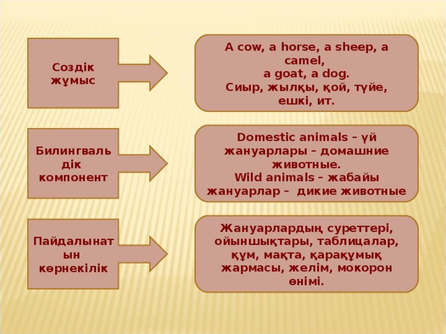 A cow, a horse, a sheep, a camel, a goat, a dog. Сиыр, жылқы, қой, түйе, ешкі, ит. Создік жұмыс Domestic animals – үй жануарлары – домашние животные. Wild animals – жабайы жануарлар – дикие животные Билингвальдік компонент Жануарлардың суреттері, ойыншықтары, таблицалар, құм, мақта, қарақұмық жармасы, желім, мокорон өнімі. Пайдалынатын көрнекілік 
