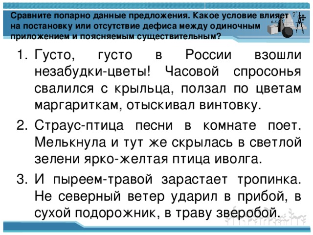 Сравните попарно данные предложения. Какое условие влияет на постановку или отсутствие дефиса между одиночным приложением и поясняемым существительным?
