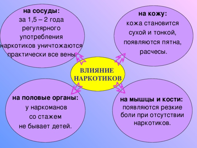 на сосуды: за 1,5 – 2 года регулярного употребления наркотиков уничтожаются практически все вены. на кожу:  кожа становится сухой и тонкой, появляются пятна, расчесы. ВЛИЯНИЕ  НАРКОТИКОВ на половые органы:  у наркоманов  со стажем не бывает детей. на мышцы и кости:  появляются резкие  боли при отсутствии наркотиков. 