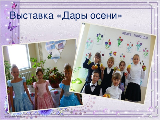 Выставка «Дары осени»