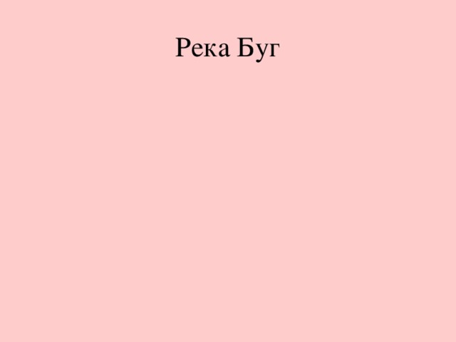 Река Буг Слайд 6.  На берегу реки Буг стояла старая русская крепость, внутри которой в казармах жили солдаты и командиры с семьями. 22 июня в 4 часа утра немецкие пушки стали расстреливать крепость, а самолёты засыпать бомбами. Начались тяжёлые, долгие бои.