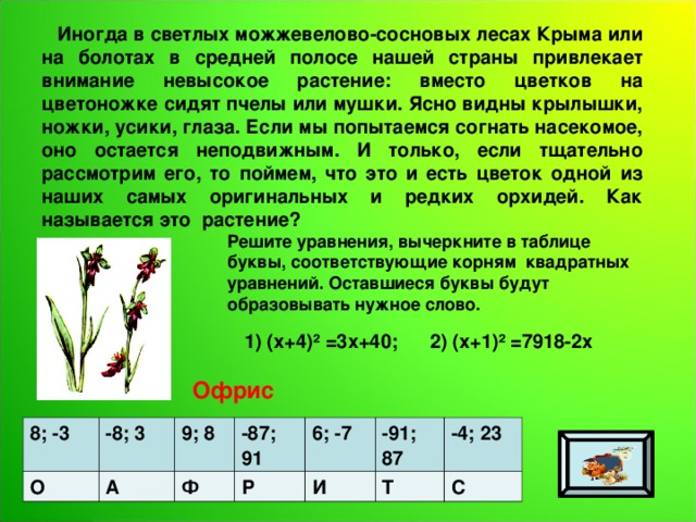  Иногда в светлых можжевелово-сосновых лесах Крыма или на болотах в средней полосе нашей страны привлекает внимание невысокое растение: вместо цветков на цветоножке сидят пчелы или мушки. Ясно видны крылышки, ножки, усики, глаза. Если мы попытаемся согнать насекомое, оно остается неподвижным. И только, если тщательно рассмотрим его, то поймем, что это и есть цветок одной из наших самых оригинальных и редких орхидей. Как называется это растение? Решите уравнения, вычеркните в таблице буквы, соответствующие корням квадратных уравнений. Оставшиеся буквы будут образовывать нужное слово.  1) (х+4)² =3х+40; 2) (х+1)² =7918-2х Офрис 8; -3 О -8; 3 9; 8 А -87; 91 Ф 6; -7 Р И -91; 87 -4; 23 Т С 