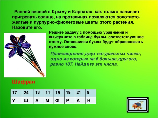  Ранней весной в Крыму и Карпатах, как только начинает пригревать солнце, на проталинах появляются золотисто-желтые и пурпурно-фиолетовые цветы этого растения. Назовите его. Решите задачу с помощью уравнения и вычеркните в таблице буквы, соответствующие ответу. Оставшиеся буквы будут образовывать нужное слово. Произведение двух натуральных чисел, одно из которых на 6 больше другого, равно 187. Найдите эти числа. Шафран 17 У 24 13 Ш 11 А 15 М 19 Ф 21 Р 9 А Н 