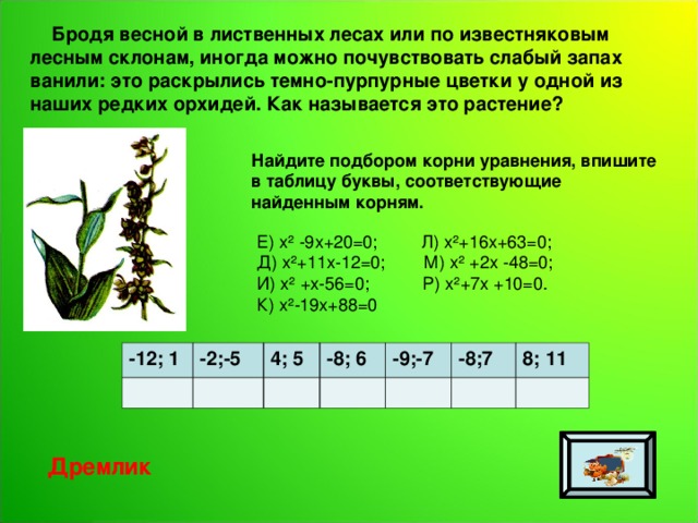  Бродя весной в лиственных лесах или по известняковым лесным склонам, иногда можно почувствовать слабый запах ванили: это раскрылись темно-пурпурные цветки у одной из наших редких орхидей. Как называется это растение? Найдите подбором корни уравнения, впишите в таблицу буквы, соответствующие найденным корням. Е) х² -9х+20=0; Л) х²+16х+63=0; Д) х²+11х-12=0; М) х² +2х -48=0; И) х² +х-56=0; Р) х²+7х +10=0. К) х²-19х+88=0 -12; 1 -2;-5 4; 5 -8; 6 -9;-7 -8;7 8; 11 Дремлик 