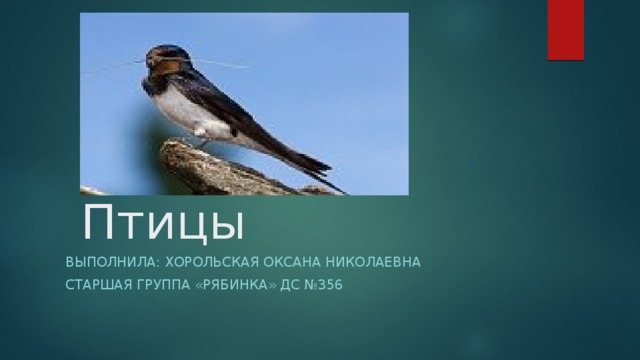  Птицы Выполнила: Хорольская Оксана Николаевна Старшая группа «Рябинка» ДС №356 