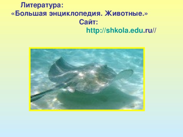 Литература: «Большая энциклопедия. Животные.» Сайт: http://shkola.edu .ru//   