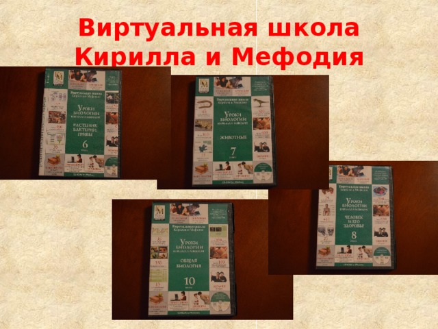 Виртуальная школа Кирилла и Мефодия 