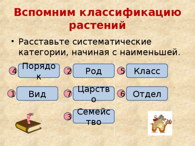 Вспомним классификацию растений Расставьте систематические категории, начиная с наименьшей. Класс Порядок Род 4 2 5 Вид Отдел Царство 1 7 6 Семейство 3 