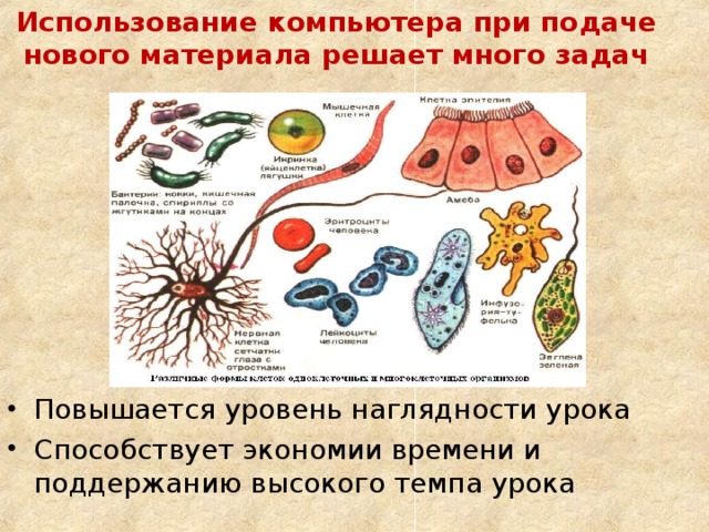 Использование компьютера при подаче нового материала решает много задач Повышается уровень наглядности урока Способствует экономии времени и поддержанию высокого темпа урока   