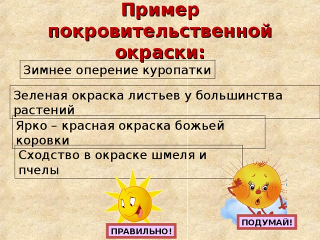 Пример покровительственной окраски: Зимнее оперение куропатки Зеленая окраска листьев у большинства растений Ярко – красная окраска божьей коровки Сходство в окраске шмеля и пчелы ПОДУМАЙ! ПРАВИЛЬНО! 