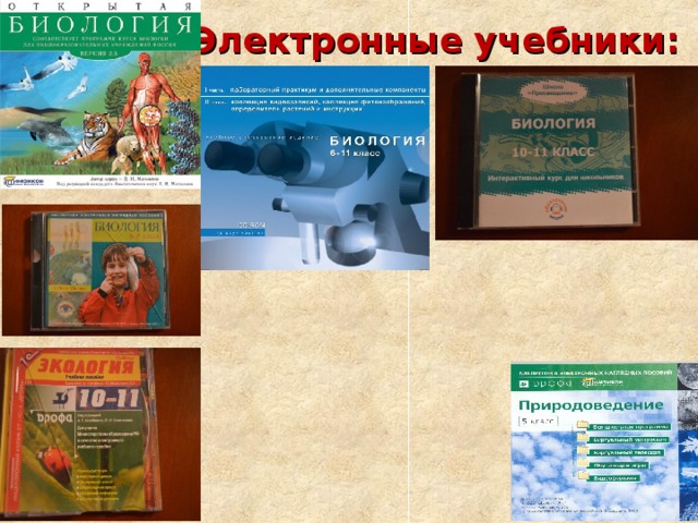 Электронные учебники:  