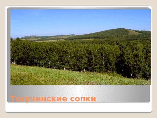 Тогучинские сопки 