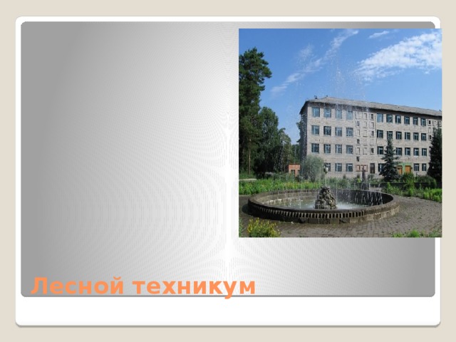 Лесной техникум 