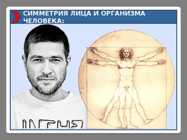 СИММЕТРИЯ ЛИЦА И ОРГАНИЗМА ЧЕЛОВЕКА: 