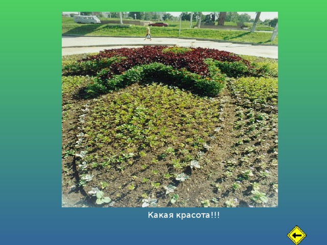 Какая красота!!! 