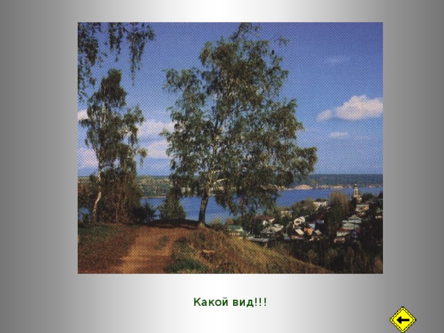 Какой вид!!! 