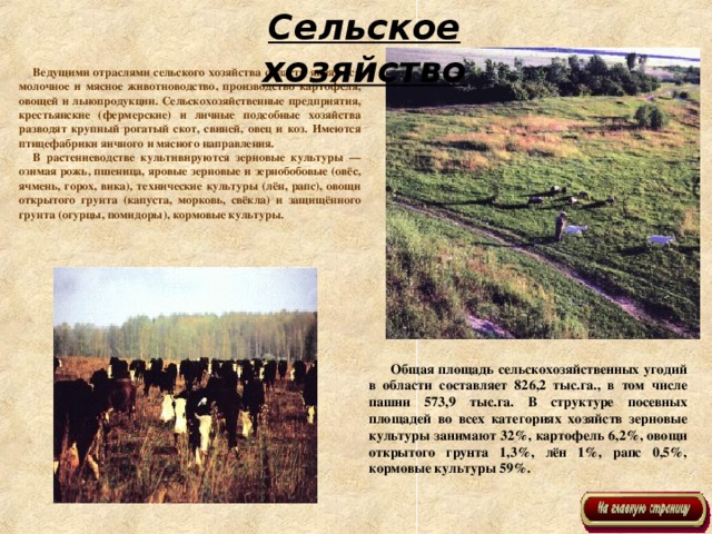 Сельское хозяйство Ведущими отраслями сельского хозяйства области являются молочное и мясное животноводство, производство картофеля, овощей и льнопродукции. Сельскохозяйственные предприятия, крестьянские (фермерские) и личные подсобные хозяйства разводят крупный рогатый скот, свиней, овец и коз. Имеются птицефабрики яичного и мясного направления. В растениеводстве культивируются зерновые культуры — озимая рожь, пшеница, яровые зерновые и зернобобовые (овёс, ячмень, горох, вика), технические культуры (лён, рапс), овощи открытого грунта (капуста, морковь, свёкла) и защищённого грунта (огурцы, помидоры), кормовые культуры.  Общая площадь сельскохозяйственных угодий в области составляет 826,2 тыс.га., в том числе пашни 573,9 тыс.га. В структуре посевных площадей во всех категориях хозяйств зерновые культуры занимают 32%, картофель 6,2%, овощи открытого грунта 1,3%, лён 1%, рапс 0,5%, кормовые культуры 59%.  